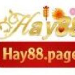 Hay88 _'s profile picture