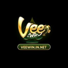 VEEWIN innet's profile picture