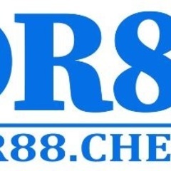 DR 88's profile picture