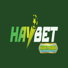 Nhà Cái HAYBET's profile picture