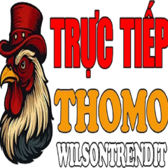DAGATRUCTIEP THOMO HOM NAY's profile picture