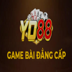 yo88  top's profile picture