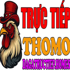 thomohomnay mento's profile picture