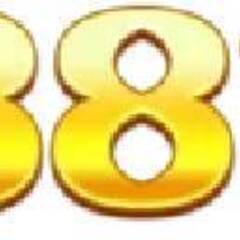 88vv auction's profile picture