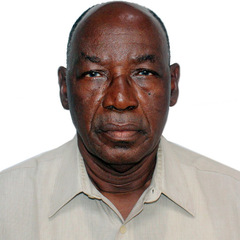 Firibu Saalia's profile picture
