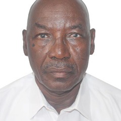 Firibu Saalia's profile picture