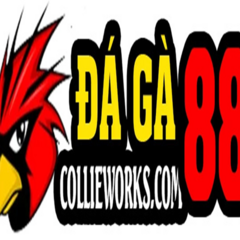 daga88 coll's profile picture