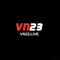 VN23 live's profile picture