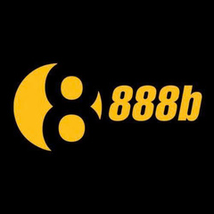 888B NV's profile picture