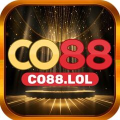 co88 lol's profile picture