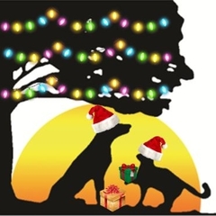 Kainer Care's profile picture