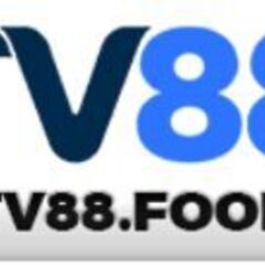 tv88  food's profile picture