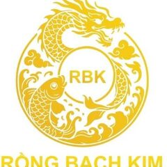 rongbachkim  vn's profile picture