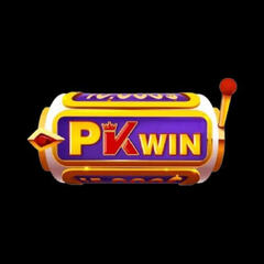 pkwiner com's profile picture