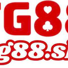 TG 88's profile picture