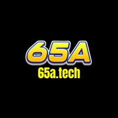 65A  TECH's profile picture
