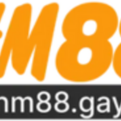 HM88 GAY's profile picture