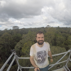 Luis Cunha's profile picture