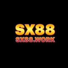 SX88 Work's profile picture