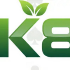 Nk88 Boo's profile picture