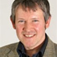 Thomas Hanne's profile picture