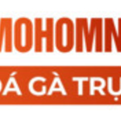 Đá Gà Trực Tiếp  ThoMoHomNay's profile picture