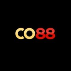 CO88 Vin's profile picture