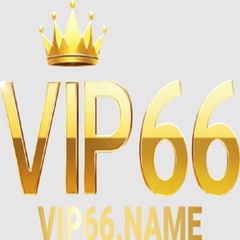 Vip66 name's profile picture