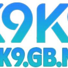 K9K9 K9K9's profile picture