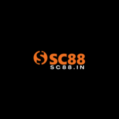 SC88 .'s profile picture