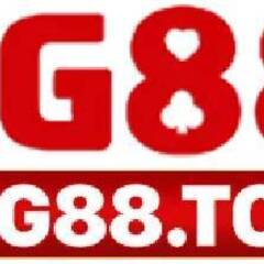 TG88 To's profile picture