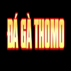 Đá Gà  Thomo's profile picture