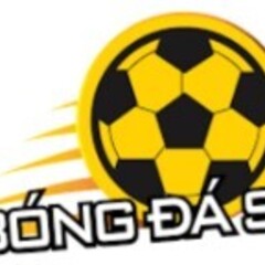 Nhà Cái Bóng Đá Số's profile picture