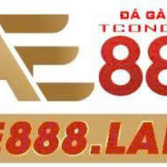ĐÁ GÀ TRỰC TIẾP AE888's profile picture