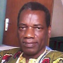 Kiatezua Luyaluka's profile picture