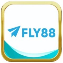 Fly88 foundation's profile picture