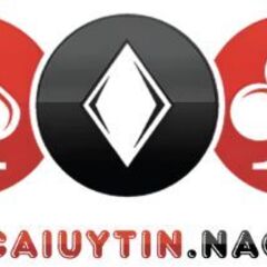 Nhacaiuytin nagoya's profile picture