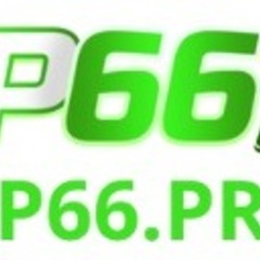 Rp66 pro's profile picture