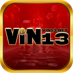 vin13 net's profile picture