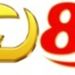 TD888  ORG's profile picture