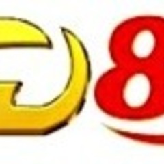 cstd88  com's profile picture