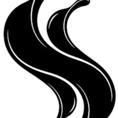 Flow  Video Ai's profile picture