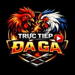 Trực Tiếp Đá Gà's profile picture