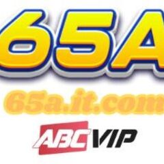 65A itcom's profile picture