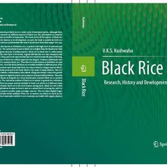 Ujjawal Kushwaha's profile picture