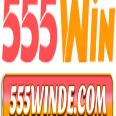 555winde  com's profile picture