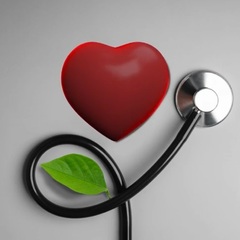 Zainab Alameeri's profile picture