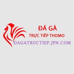 Đá Gà Trực Tiếp's profile picture