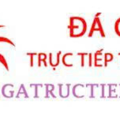 Đá Gà Trực Tiếp's profile picture