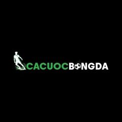 cacuocbongda01 com's profile picture